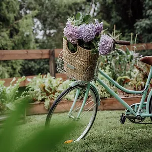 https://mountview-alpaca-farmhouse.queenslandhotels.net