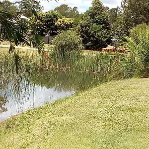 https://wondai-accommodation-units-and-villas.queenslandhotels.net